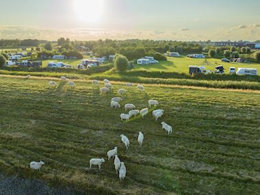 ESD_02_330393_4_3_330459_jpg
