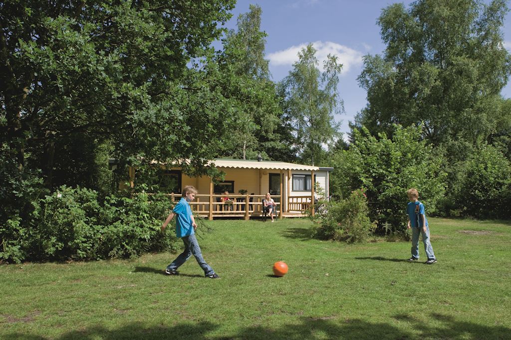 LJE_02_13789_4_3_87197_jpg