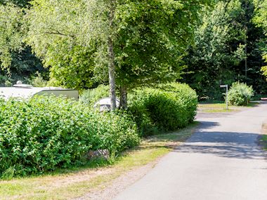 SBG_02_114513_4_3_114610_jpg