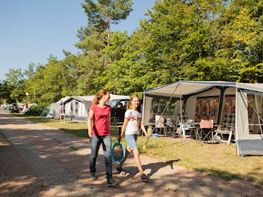 SBG_08_146463_4_3_146495_jpg