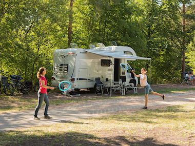 SBG_08_146464_4_3_146496_jpg